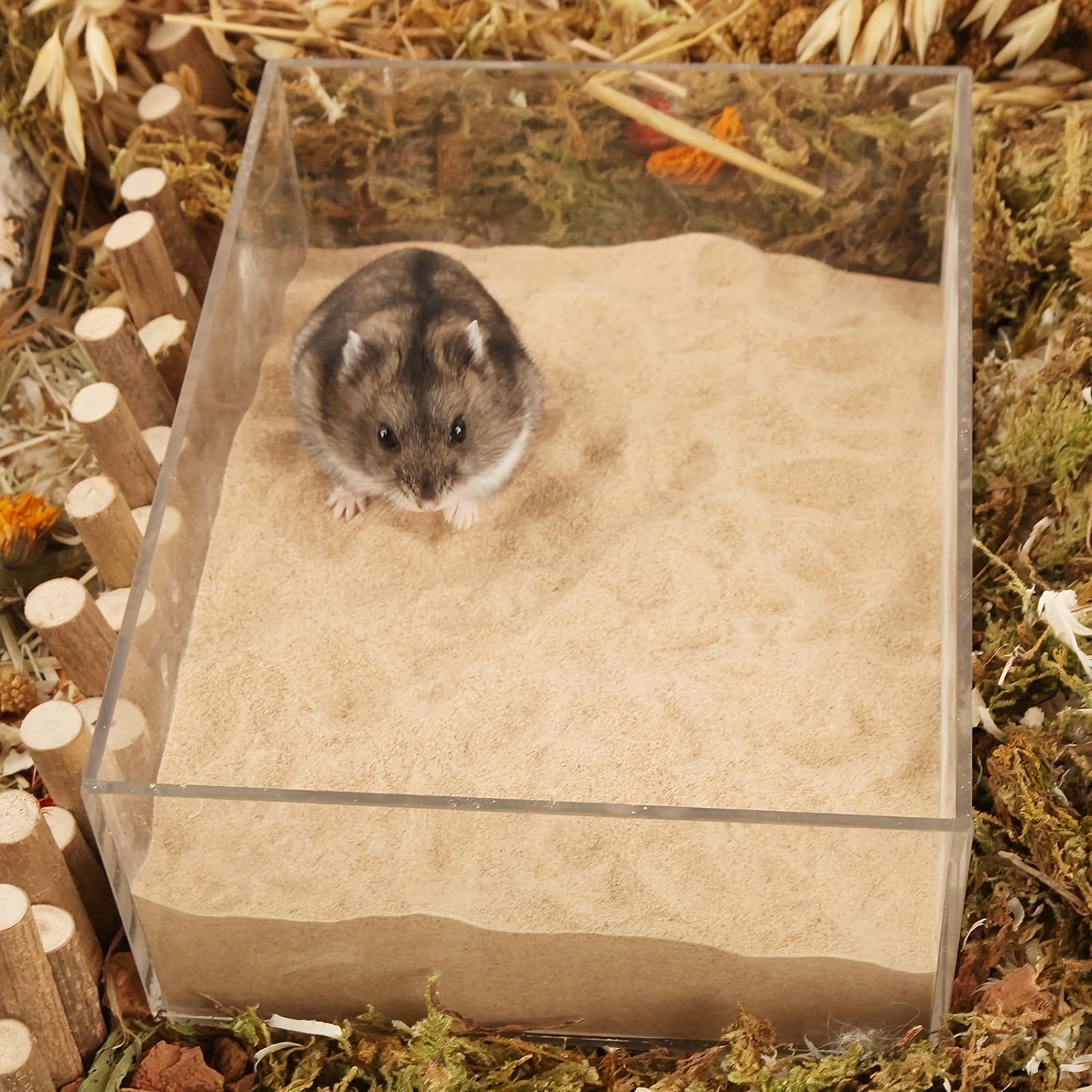 2pcs Hamster Bathroom and 2.5kg Dust-Free Toilet Sand for Small Pets with Transparent Design for Easy Observation