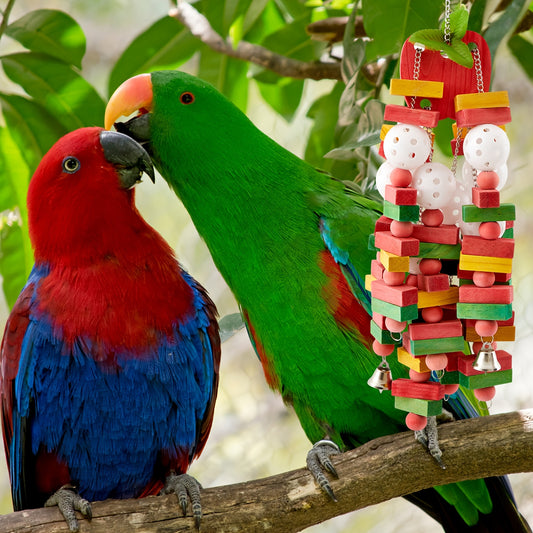 3pcs Extra Large Bird Parrot Toy Multicolored Natural Wooden Chewing Toys for Large Medium Macaws Cockatoos African Grey Birds