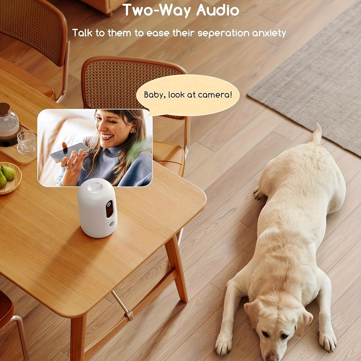 WiFi Pet Camera with Treat Dispenser 2K 1440p Video 2-Way Audio Night Vision Motion Alerts and Speaker for Remote Monitoring and Interactive Feeding