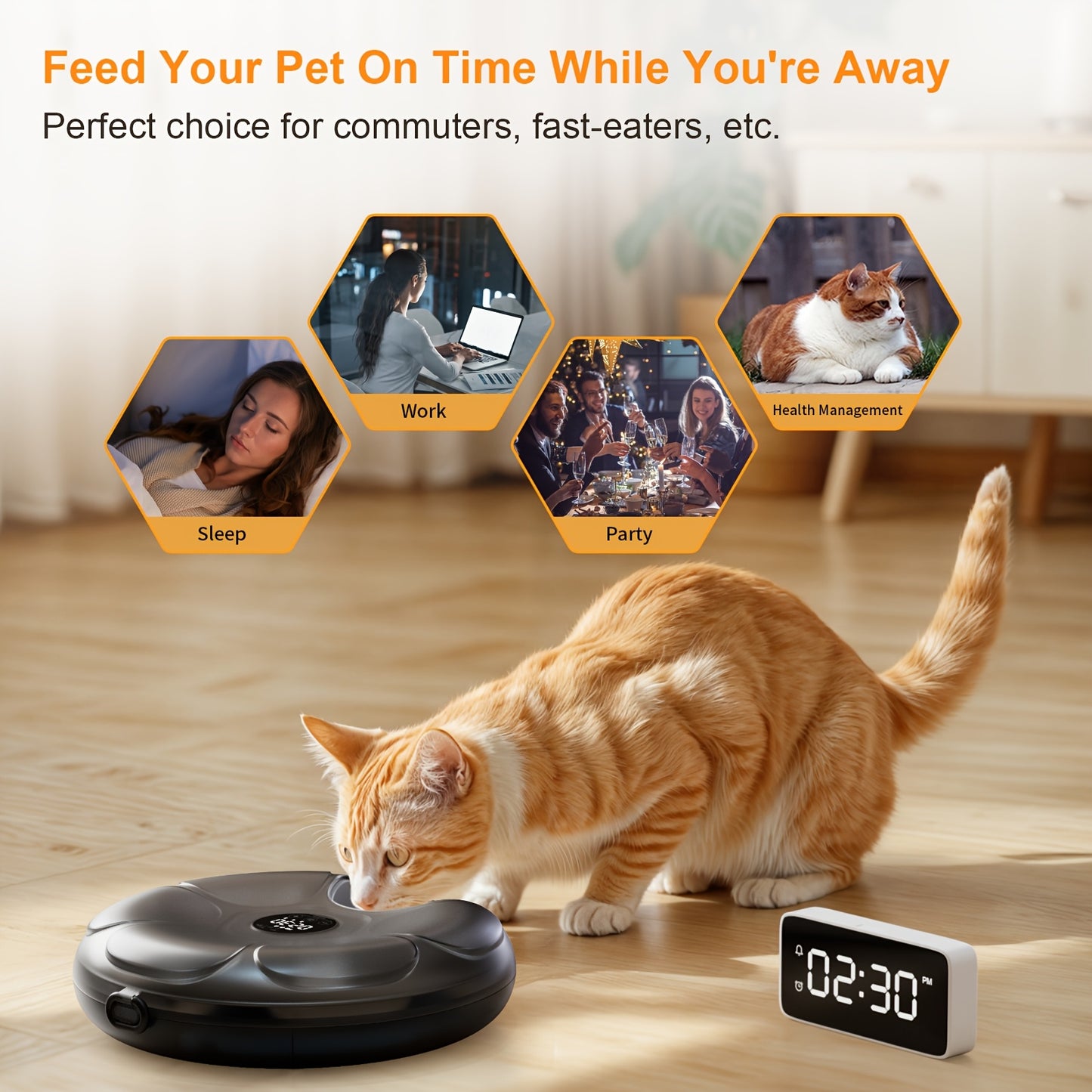 6 Compartments Rechargeable Cordless Cat Feeder Smart Automatic Wet Food Dispenser Programmable Daily Feeding Schedule with Ice Packs Low Battery Indicator Safe Paw Design